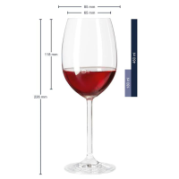 Dimensions du verre à vin rouge Daily